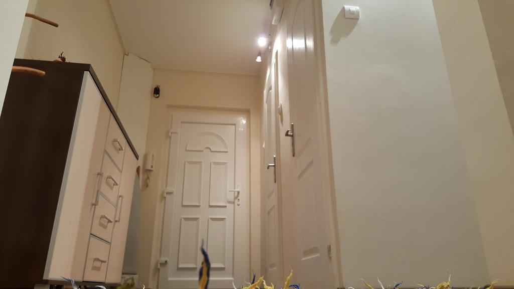 Aquarius Apartman Segedín Exteriér fotografie