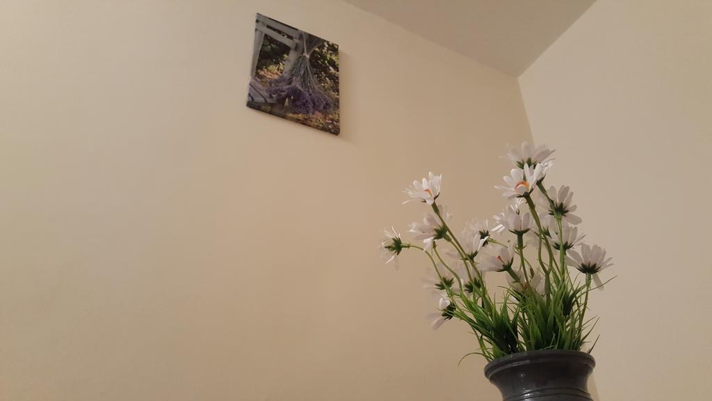 Aquarius Apartman Segedín Exteriér fotografie