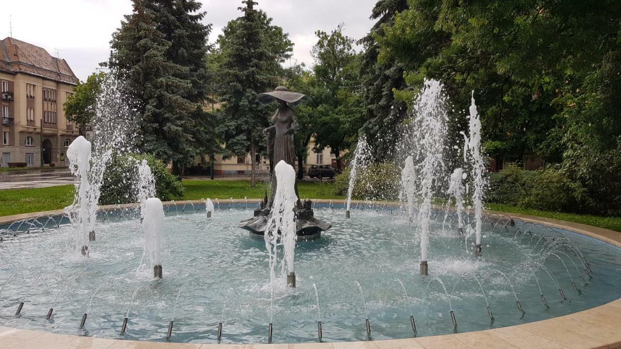 Aquarius Apartman Segedín Exteriér fotografie